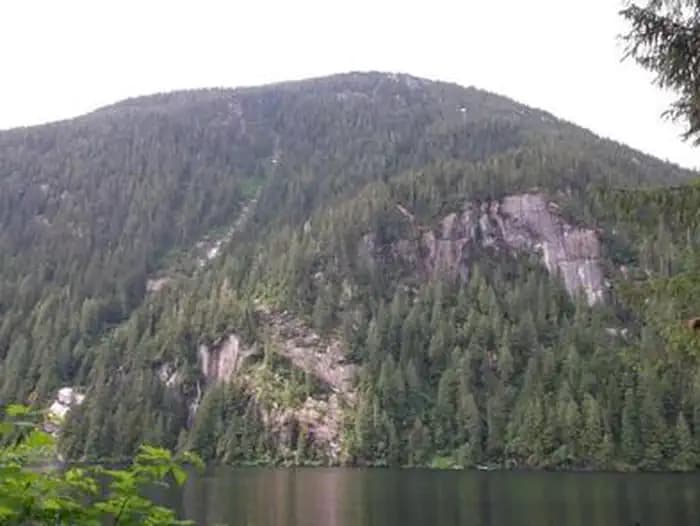 Wilson View Cabin — photo 1
