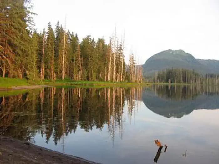 Petersburg Lake Cabin — photo 1