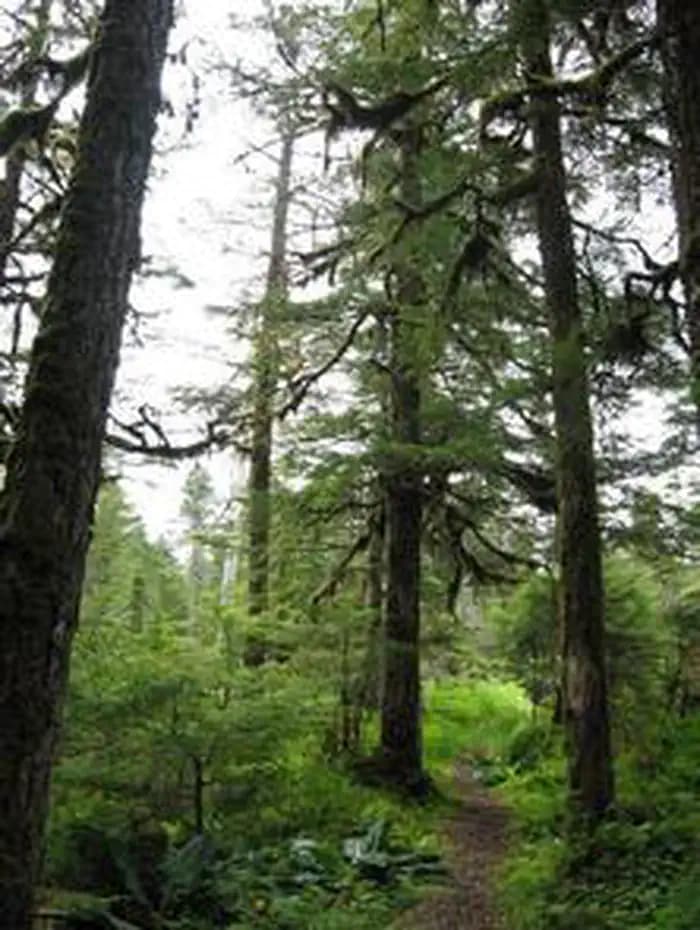 Castle River Cabin — photo 1