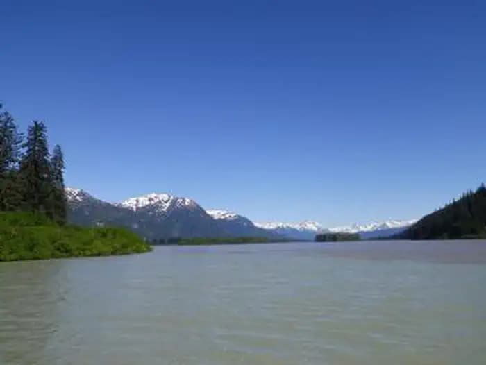 Shakes Slough 1 Cabin — photo 1
