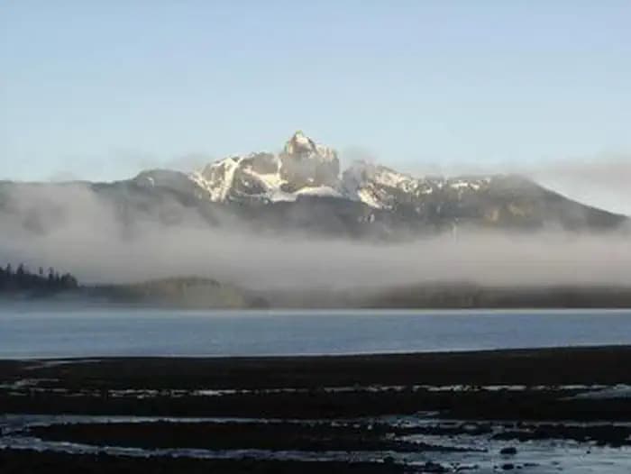 Shipley Bay Cabin — photo 1