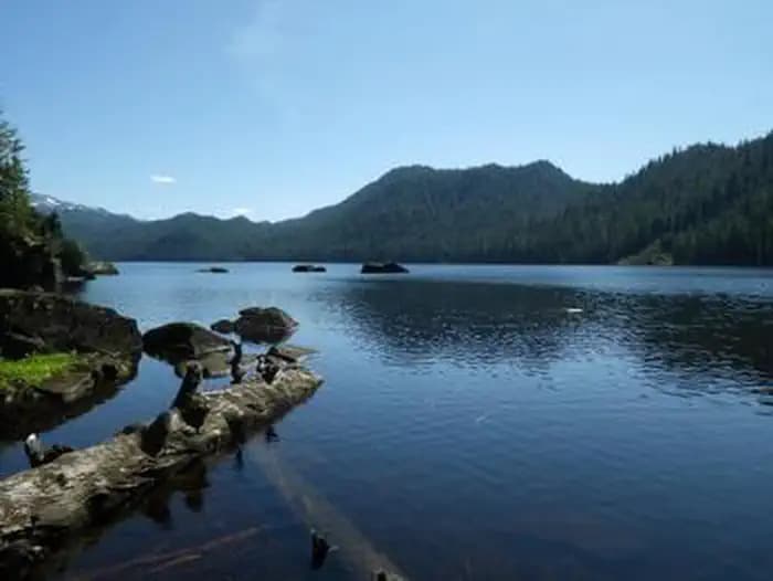 Anan Lake Cabin — photo 1