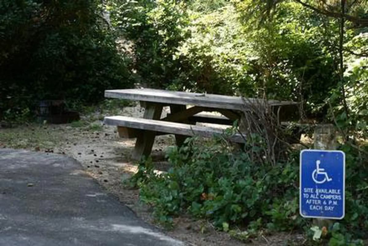 Tahkenitch Campground — photo 1
