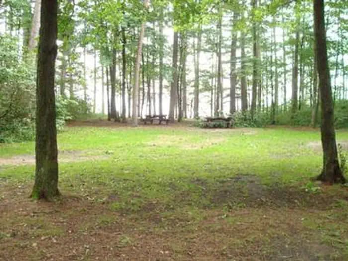 Winnie Campground - Usfs — photo 1