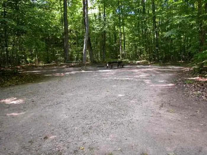 Pete’S Lake Campground — photo 1