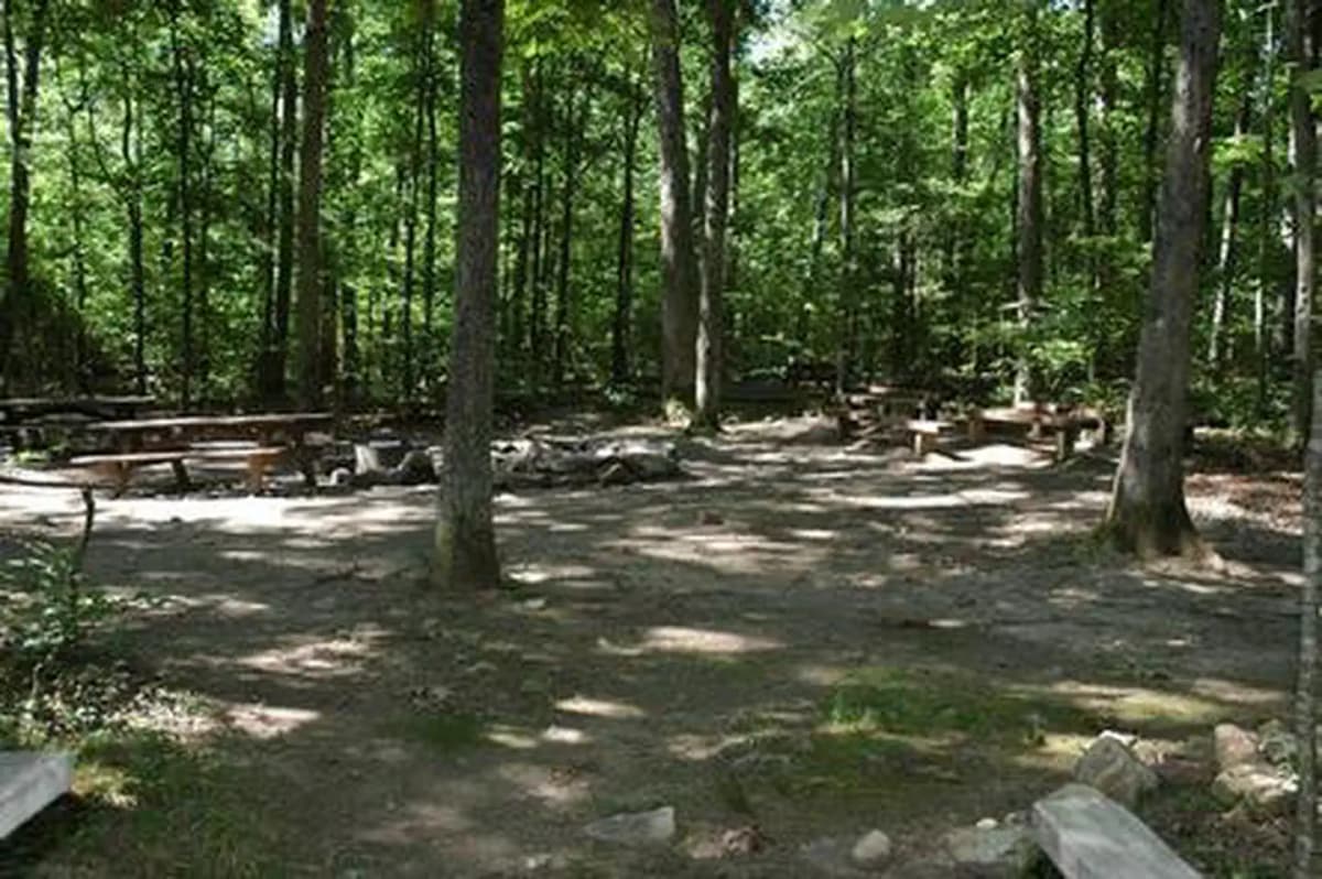 Elizabeth Furnace Group Camp — photo 1