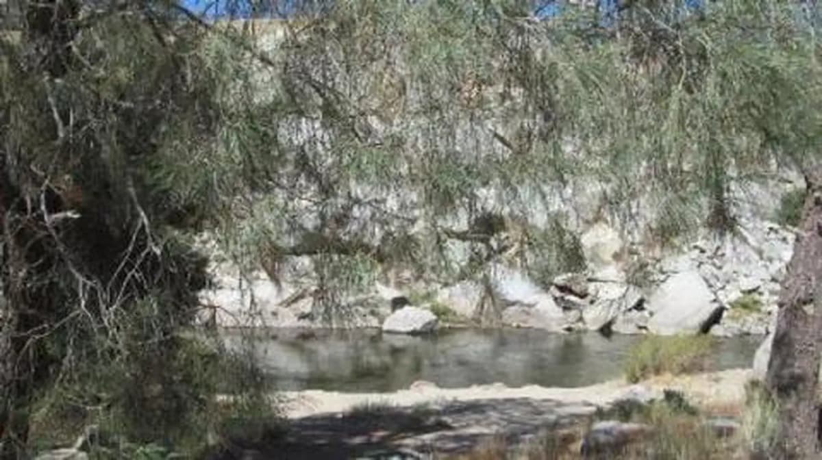 Sandy Flat — photo 1