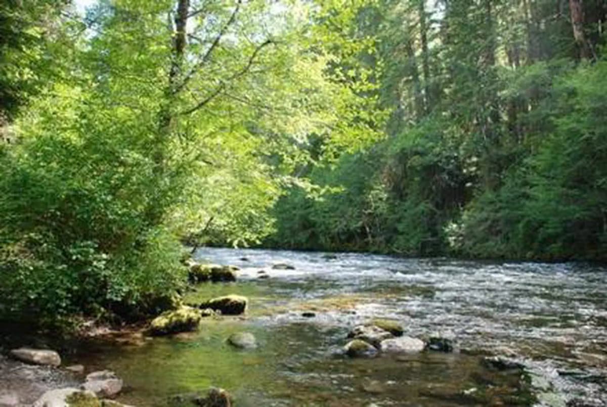 Riverside At Detroit (Willamette National Forest, Or) — photo 1