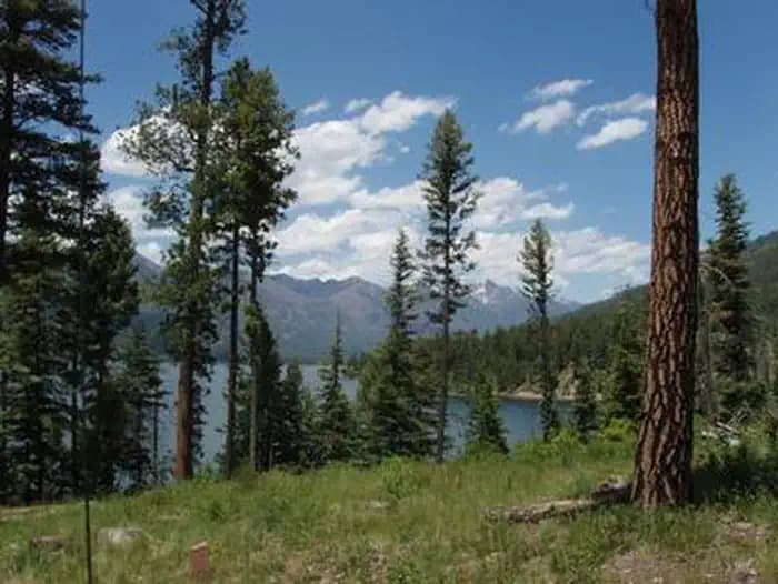 Pine Point (Vallecito Reservoir, Co) — photo 1