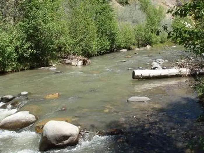 Blanco River Group Campground — photo 1