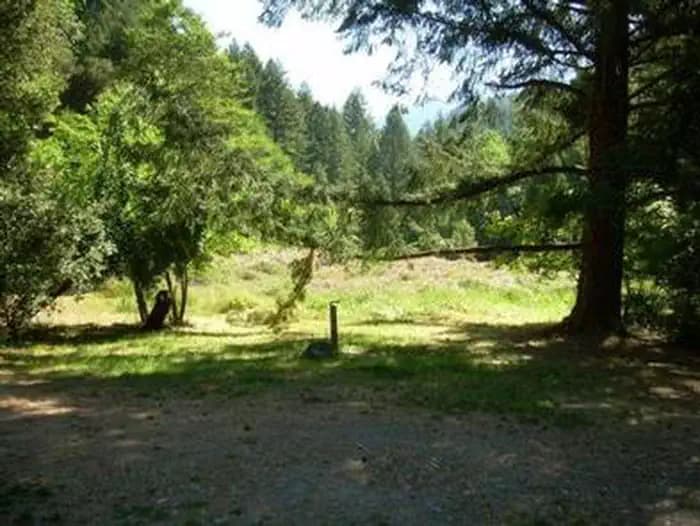 Chinquapin Group Campground — photo 1