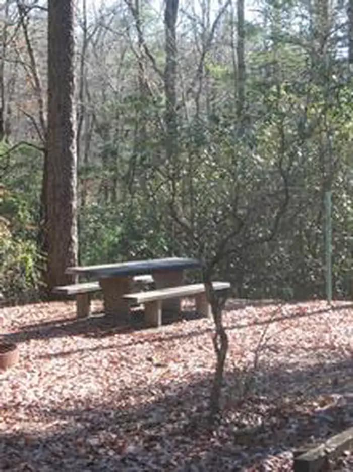 Cherry Hill Campground — photo 1