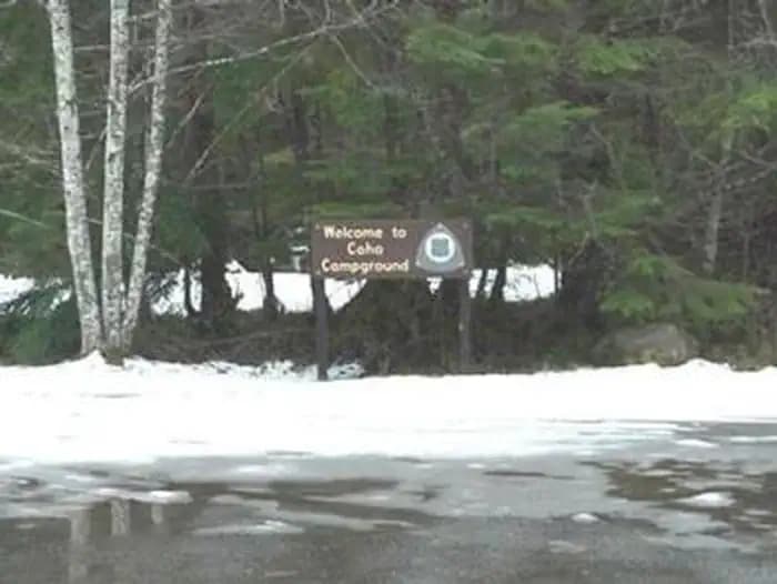 Coho Campground — photo 1