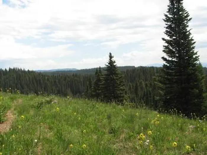 Island Lake Campground — photo 1