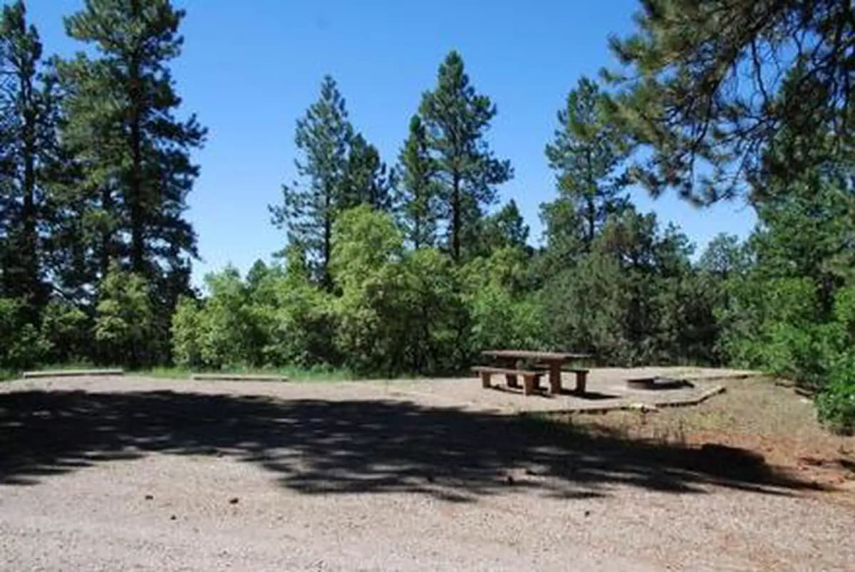 Target Tree Campground — photo 1