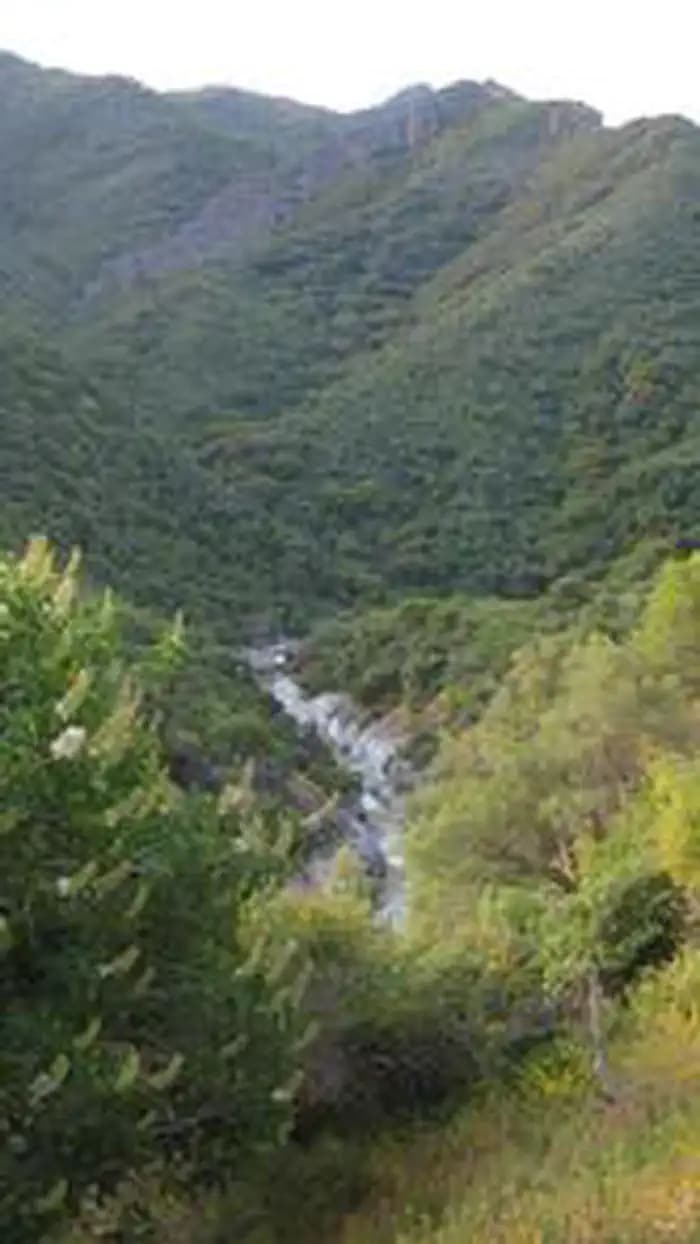 Buckeye Flat Campground — photo 1