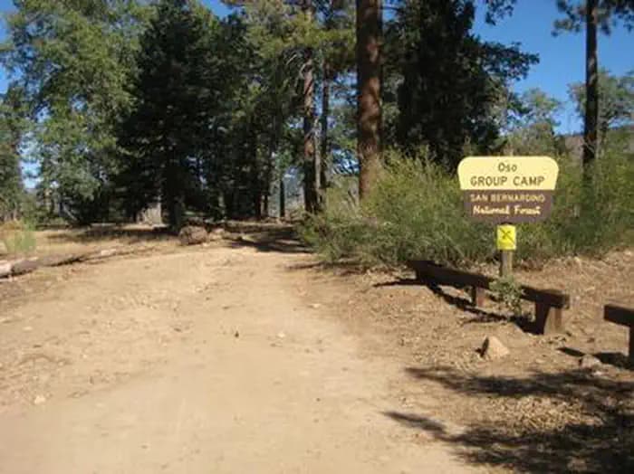 Oso Group — photo 1