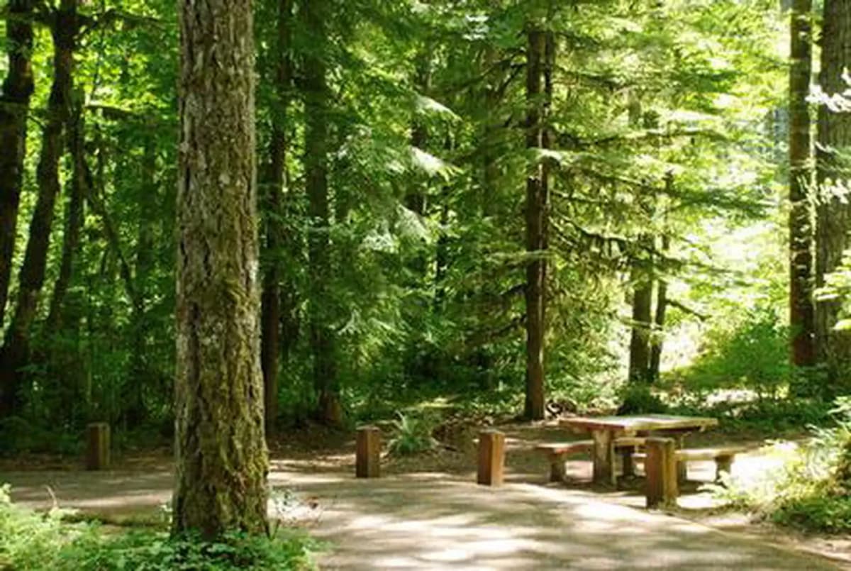 Hoover Campground — photo 1