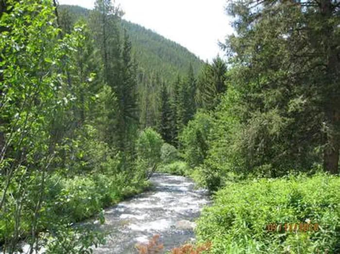 Swan Creek Campground — photo 1