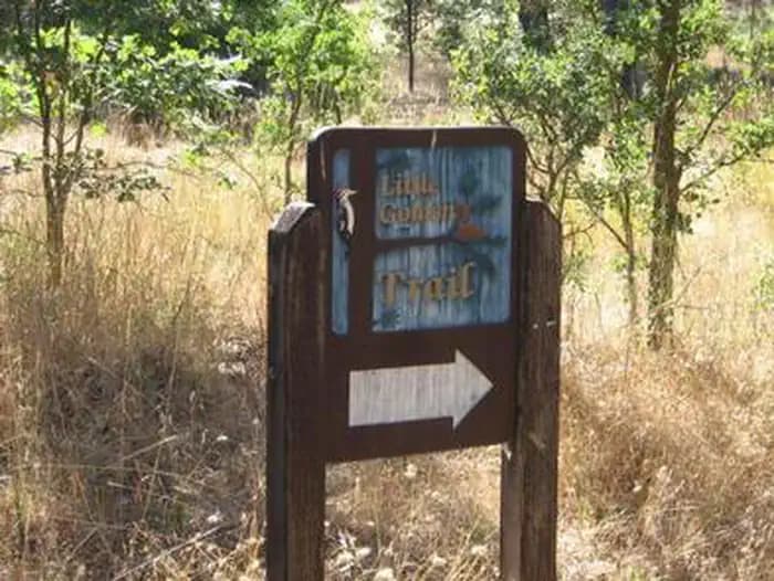 Pines Group Stanislaus — photo 1