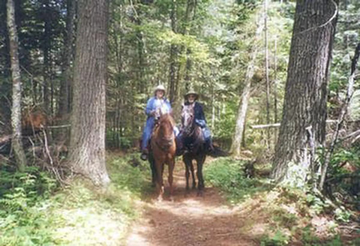 Cut Foot Horse Campground — photo 1