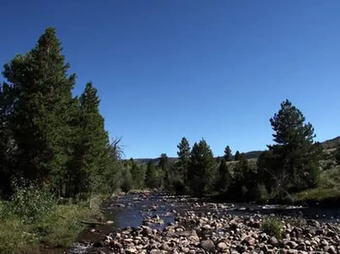 Yellowstone Group Campground — photo 1