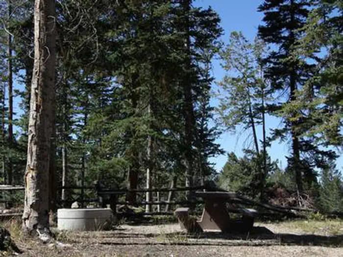 Avintaquin Campground — photo 1
