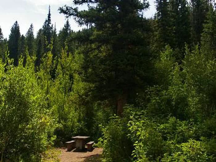 Paris Springs Campground — photo 1
