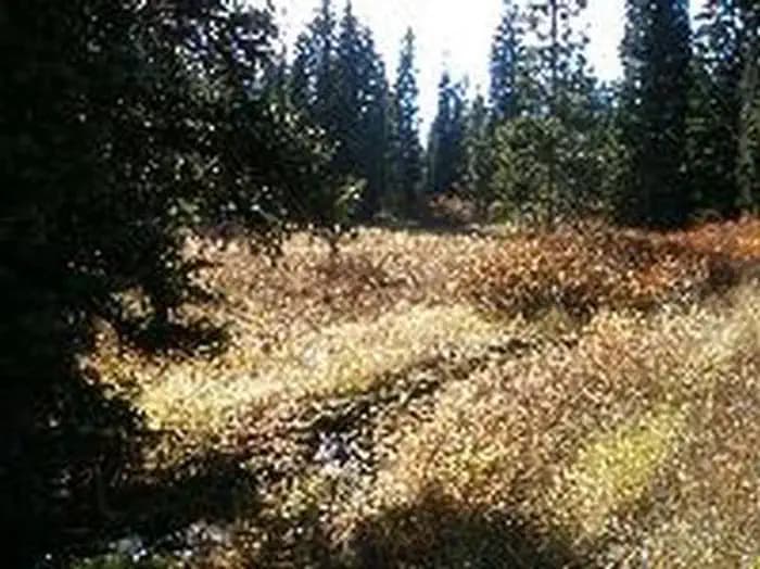 Emigration Campground — photo 1