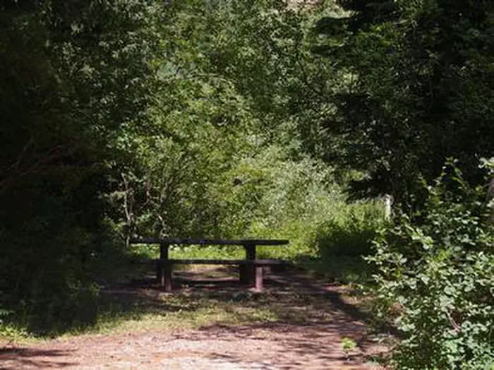 Trail Creek — photo 1