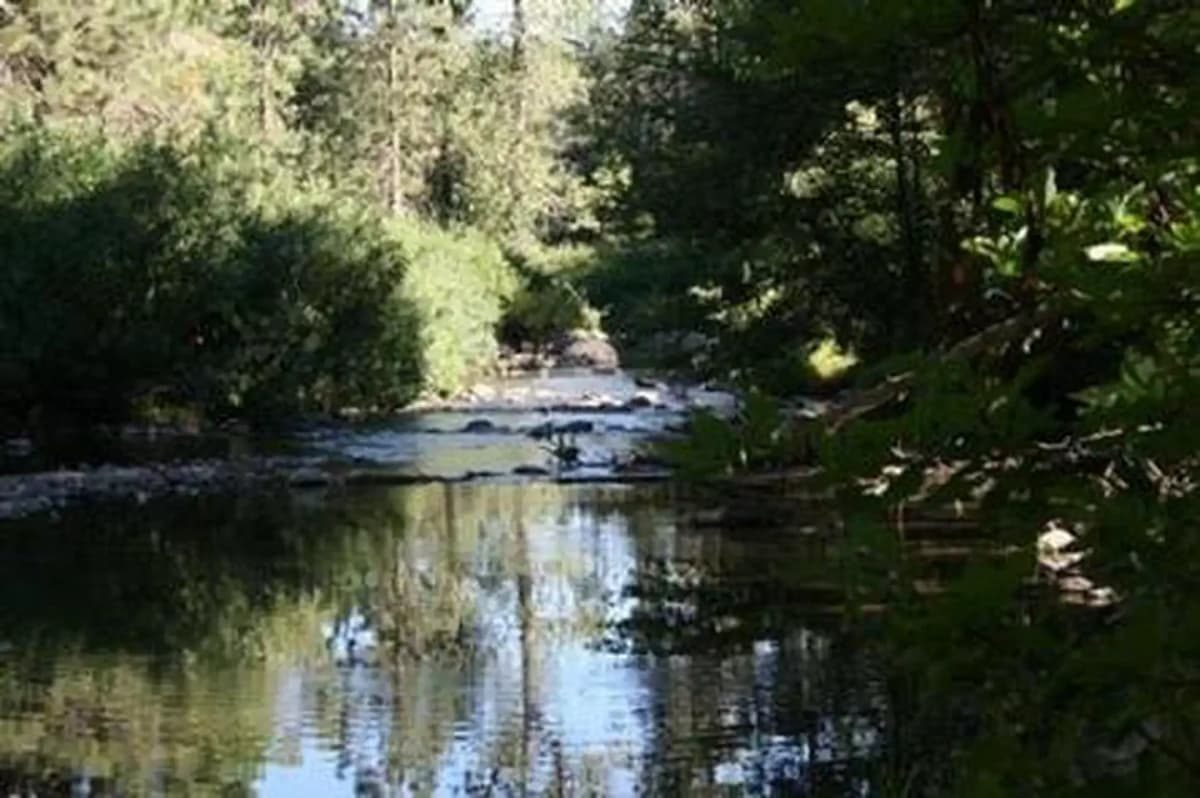 Summerdale Campground — photo 1