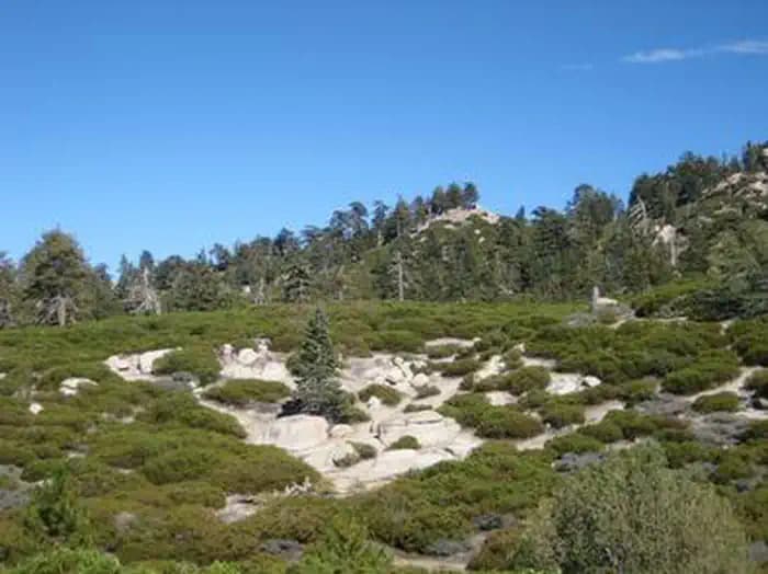 Shady Cove Group Campground — photo 1