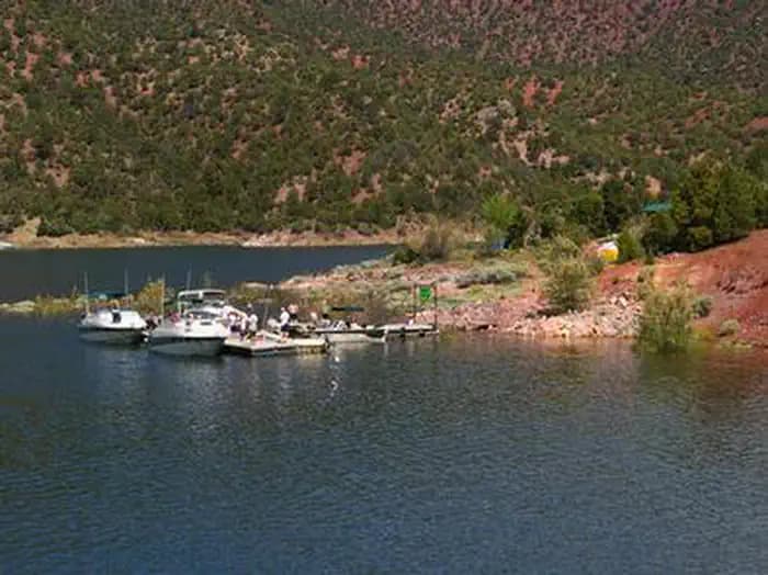 Jarvies Boat In Group — photo 1
