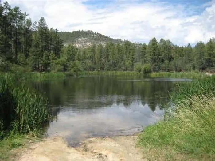 Horsethief Cabin — photo 1