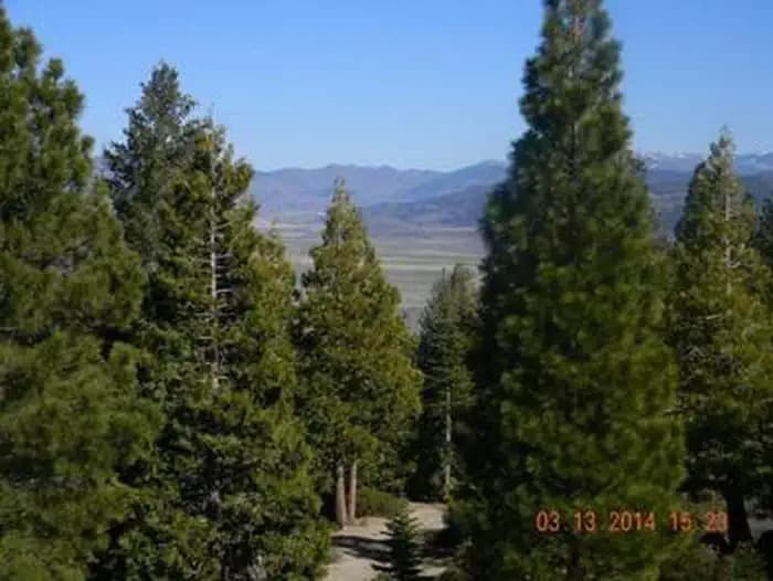 Calpine Lookout — photo 1