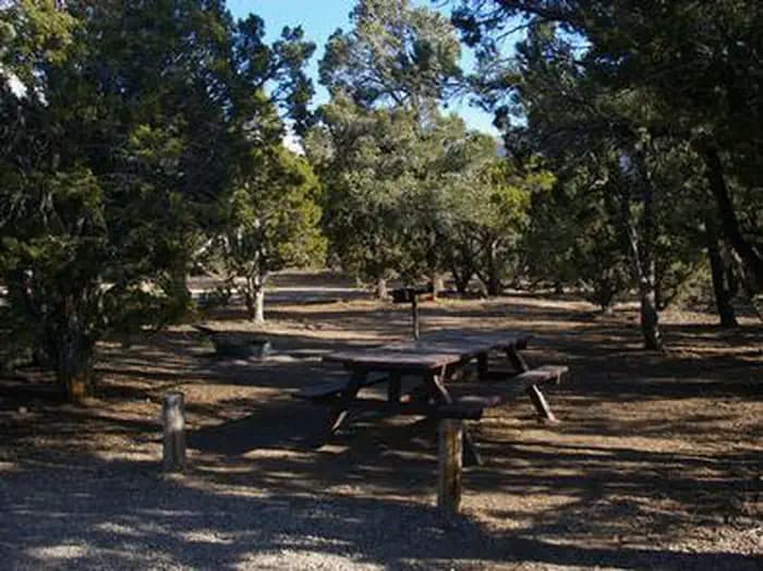 Ward Mtn. Campground (Murray Summit) — photo 1
