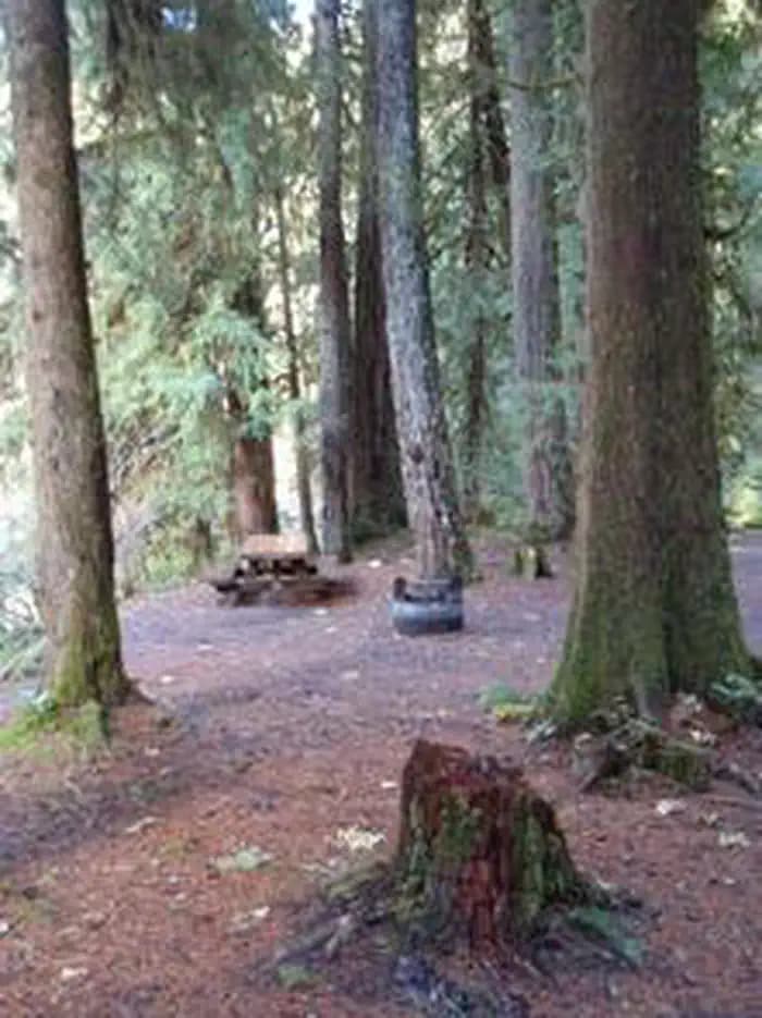 Red Diamond Campground — photo 1