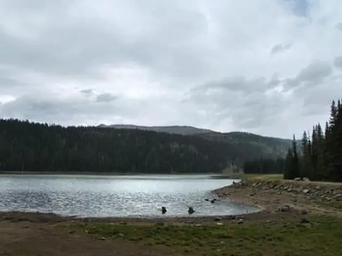 Grouse Campground — photo 1