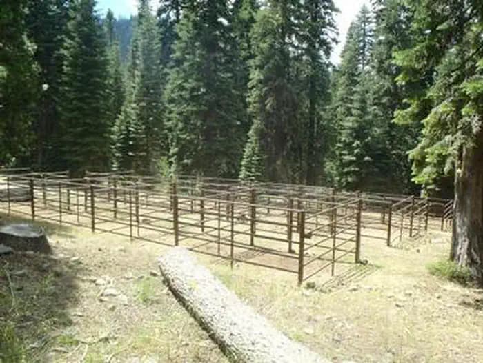 Carter Meadows Horse Group — photo 1