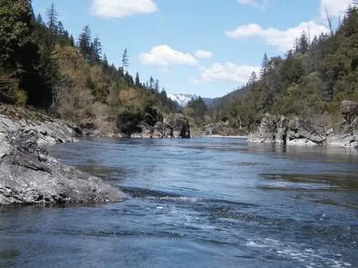 Tree Of Heaven Campground — photo 1