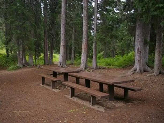 Cottonwood Group Campsite — photo 1