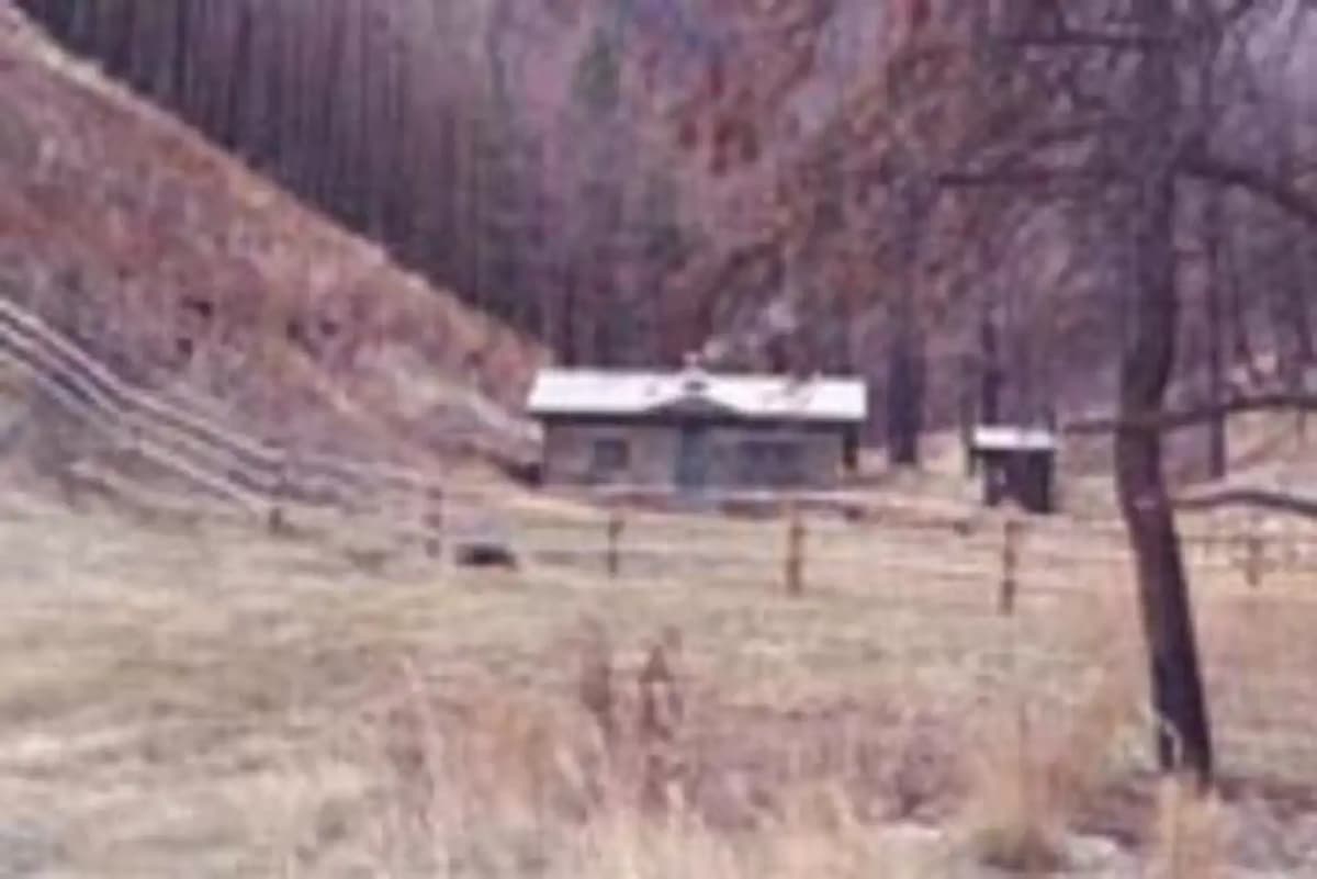Bar Gulch Cabin — photo 1