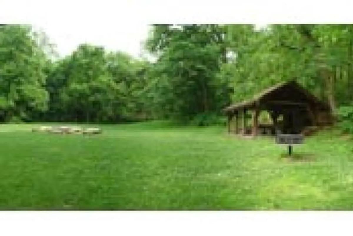 Lake Wedington — photo 1