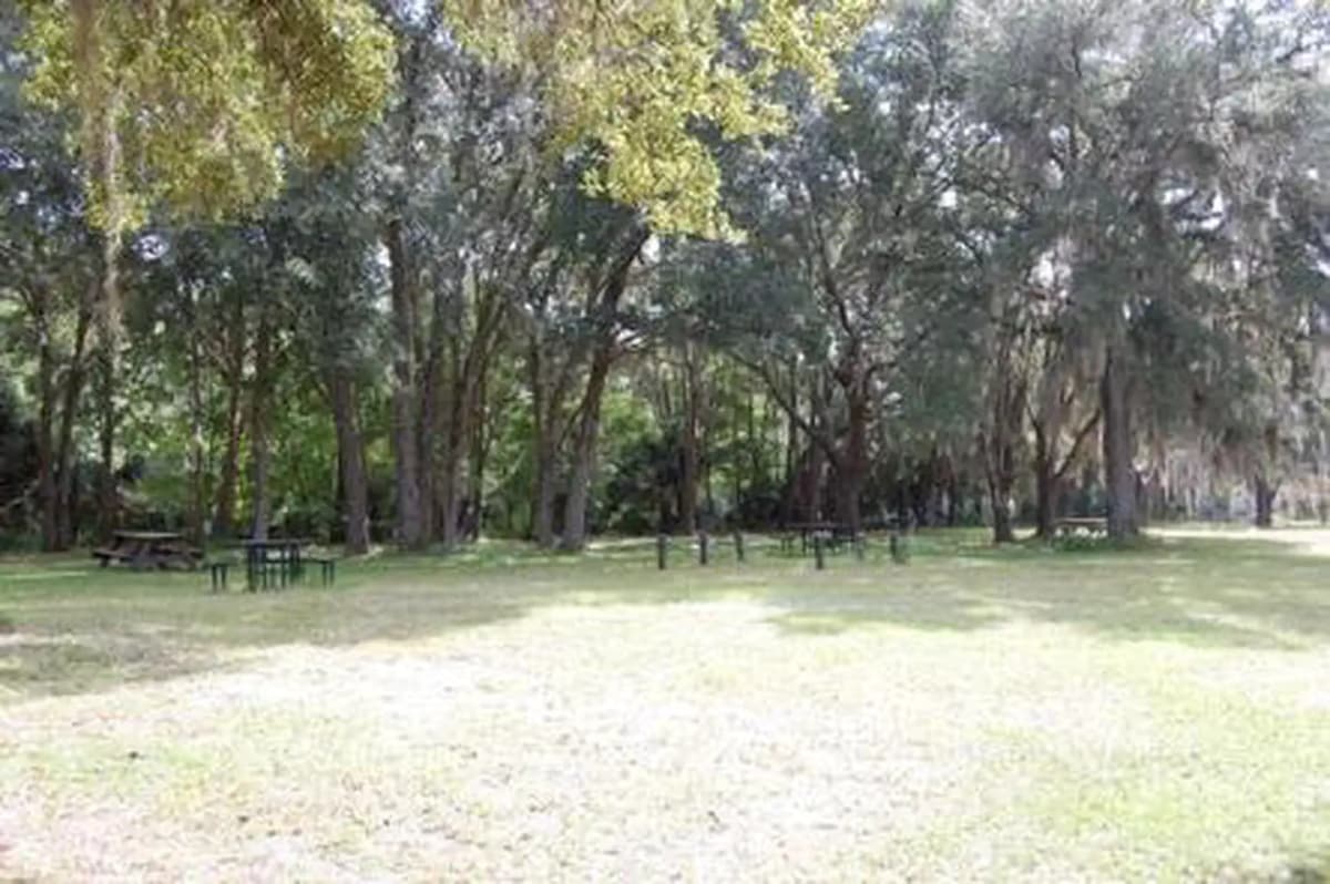 River Forest Group Site — photo 1