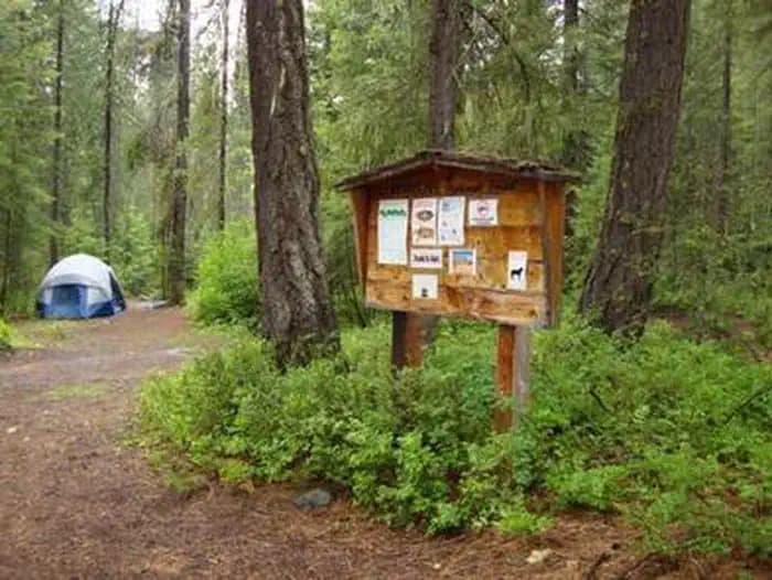 Grouse Creek Group Site — photo 1