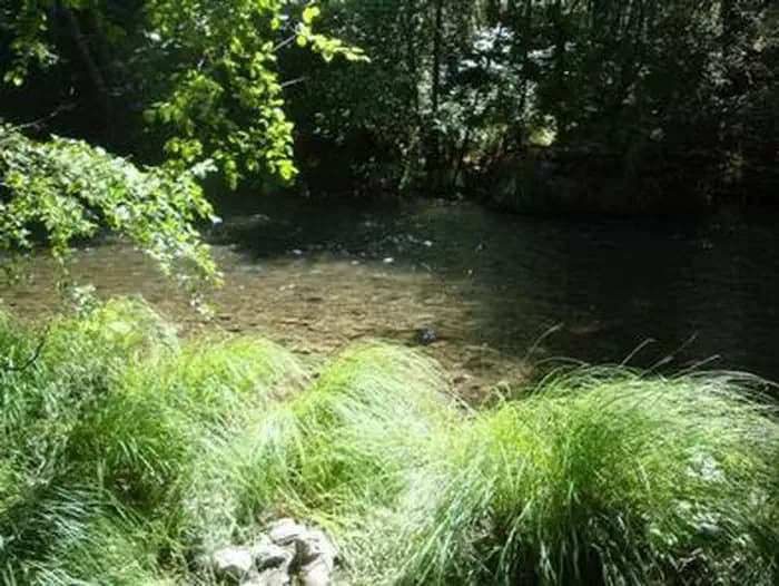 Mad River Campground — photo 1