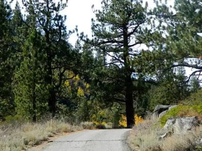 Kit Carson Campground — photo 1