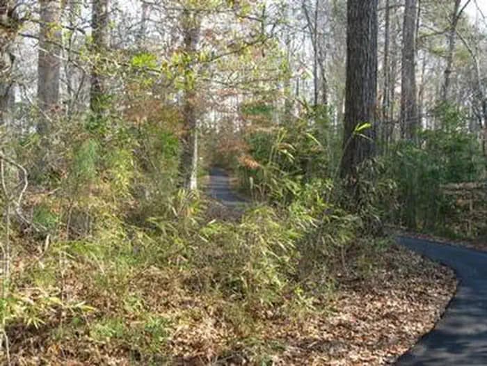 Flanners Beach Campground — photo 1