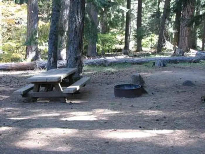 Bear Springs Campground — photo 1