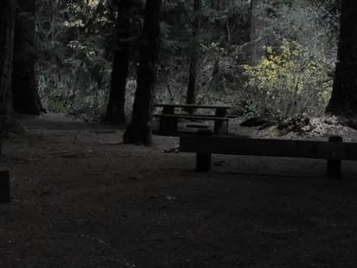 Limberlost Campground — photo 1
